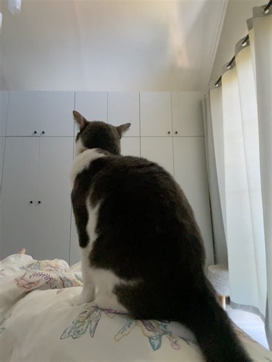 Michelle Clack on Reels | Facebook