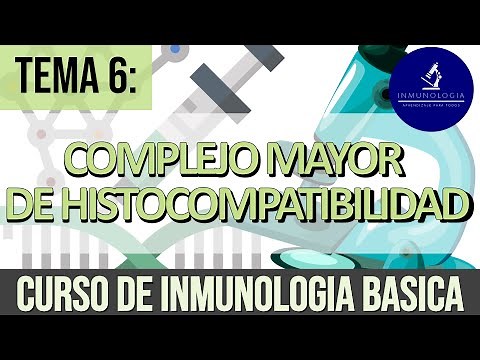 Major Histocompatibility Complex | MHC-HLA