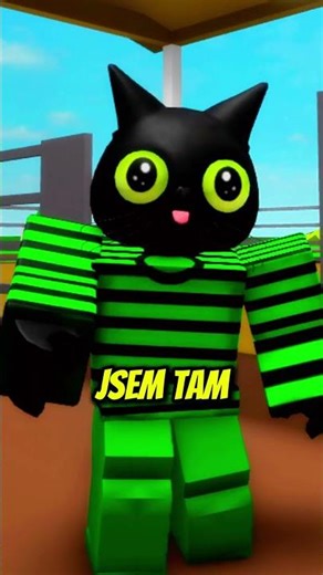 NEMŮŽU SE DOTKNOUT ZELENÉ ANI ŠEDÉ V BROOKHAVENU! 😱