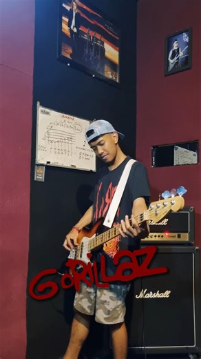 feel good inc bass cover by gorillaz #fenderjazzbass #basscover #gorillaz #rock #bassplayer #fender
