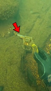 M*rder We*pon?? 🔫 | D ALL MY D