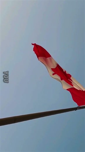 This Is Why Canada Is Going Viral #Canada #trending #viral