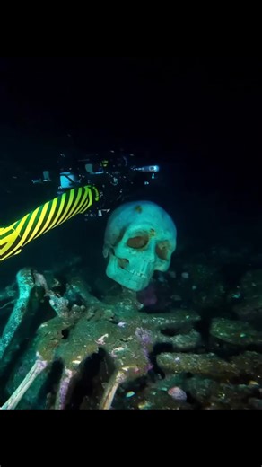 have just found something beyond our imagination in the deepest depths of the ocean. #fly