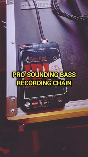Pro-Sounding Bass Recording Chain #bass #bassplayer