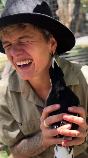 Benefits of Having Magpies in Your Backyard