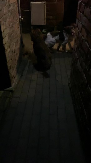 simon.cleminson on TikTok