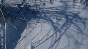 Snow texture close-up. The shiny blue surface of snowdrifts in the wind. A light snowfall stirs the icy grass. The concept of bad weather, bright winter sun, severe frosts. Snow sparkles in the sun.