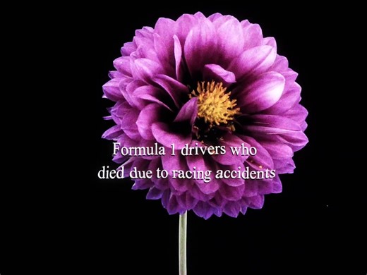 Commemorating Fallen F1 Drivers: A Tribute