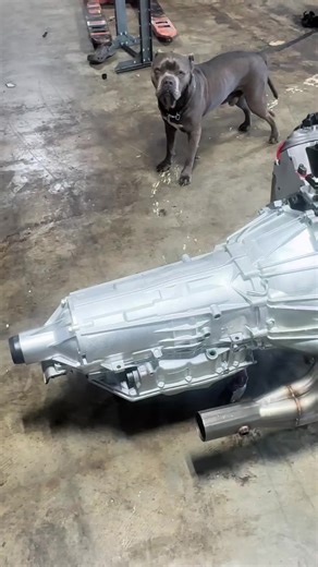 Need the Full Package? We’ve Got It. 🔥 Engine transmission combos available complete turnkey options ready to drop in and go. From street builds to full LS swaps, we supply complete setups built for power and reliability. ✅ Engine & Trans Packages ✅ Turnkey Ready ✅ LS Swap Options ✅ Shipped Anywhere in the U.S. Serious power. Serious builds. Serious buyers only. Message for specs, availability, and pricing. #LSSwap #CCPEngines #ChevyPerformance #EngineSwap #CarsOfTikTok