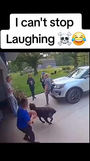 7.6M views · 32K reactions | #ViralBlitz #ViralBlitzRealm #fyp #fyp:°viral #viralvideo#viraltiktok #fypy #funny#funnyvideos #funnymoments #funnyfacebookreels @highlight | Matthew Tim | Facebook