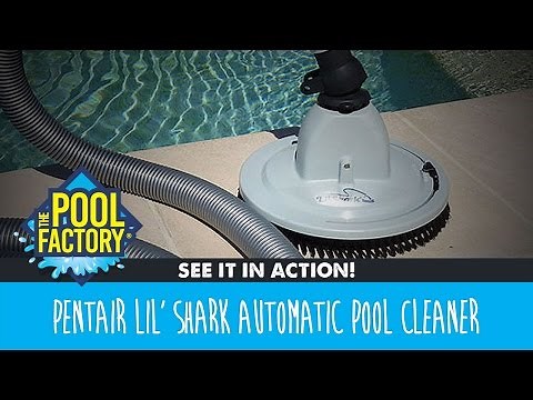 Pentair Lil' Shark Pool Cleaner - SEE IT IN ACTION!