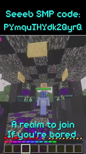 Welcome to the “Seeeb SMP” #minecraft #viral #gaming #interactive #minecraftrealms
