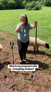 587K views · 8.8K reactions | My pregnant wife is crazy. #pregnantwomen #snakes #homesteadlife #bravewomen | The Murrays | Facebook