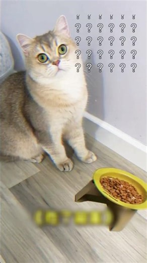 What happens if you replace all the cat's things with simulated paper cutouts?