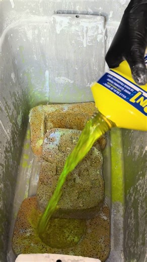 Freestyle Cleaning Combo: Lysol, TBC, and More