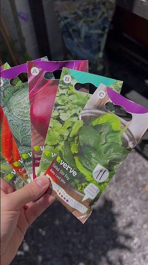 How to sow vegetable seeds in your garden this autumn! 🍂🌿 #DIYtips #Howto #BandQ #Verve