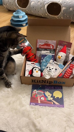 Your cat made the “nice” list...mostly. 🎅 Reward them anyway with the gift that keeps on giving—a monthly KitNipBox! 🎁 | KitNipBox