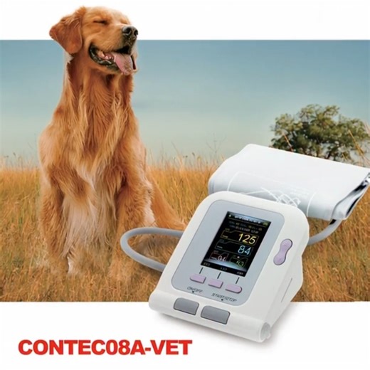 CONTEC Brasil on Instagram: "🐾 CONTEC08A-VET Tecnologia da CONTEC MEDICAL SYSTEMS USA INC. para cuidar da saúde dos seus animaizinhos! 🐶🐱🐴 🌟 Principais Vantagens: ✔️ Medição totalmente automática de pressão arterial. ✔️ Tela LCD colorida de alta definição para melhor visualização. ✔️ Armazenamento de até 100 resultados com data e hora. ✔️ Alarmes fisiológicos configuráveis para maior segurança. ✔️ Operação simples: um toque e pronto! 🩺 Uso Pretendi