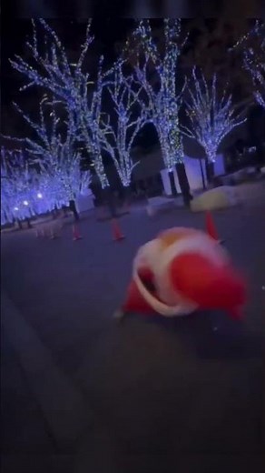 🤣 Did santa dirty #fart #prank #funny