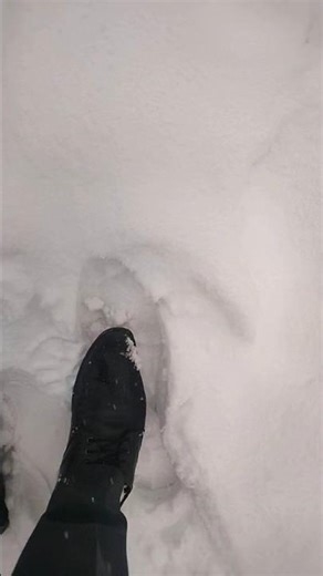 #Snowsight #travel #treanding #show #Manali #nature #mountainview #viral #hills