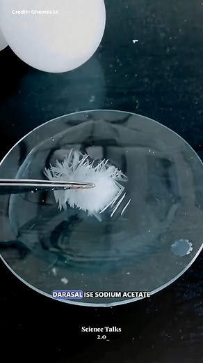 5.5K views · 122 reactions | Sodium Acetate #fbreels #reelitfeelit #science #experiment #fact #physics #facts #fypシ゚ #facebookreelsviral | The Science Talks 2.0 | Facebook