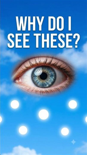 Why Do You See White Dots in the Blue Sky? 👀🔵 #didyouknow #facts #science #sciencefacts