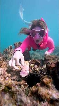 Shocking Surprise While Cleaning the Oceans