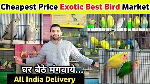 2.4K views · 68 reactions | Exotic Birds Market India | Gorakhpur...