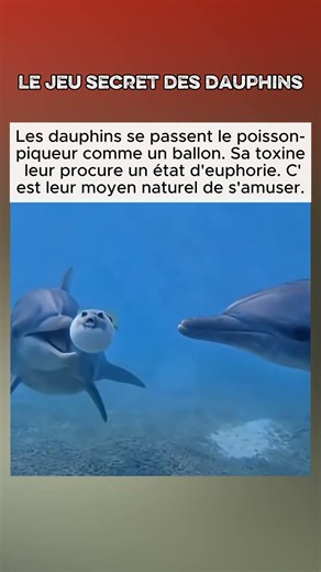 L'effet du poisson lune