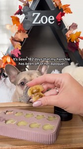 DM-01™ Daily Multivitamin is vet-formulated to help your dog thrive. Its 12 clinically scientifically studied ingredients (commonly deficient in the normal dog diet) deliver core nutritional benefits that proactively address long-term health. Invest in your dog’s future today. | Dog is Human