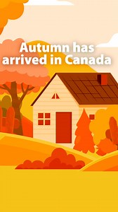 305K views | Autumn has arrived in Canada, and with it comes back-to-school routines, cozy fires, and cooler weather. Here are some ways to help ensure it’s a safe season for all. #AutumnSafety | Insurance Bureau of Canada | Facebook
