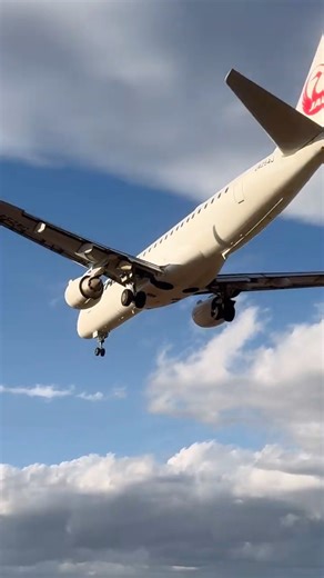JAL E190 着陸 伊丹空港