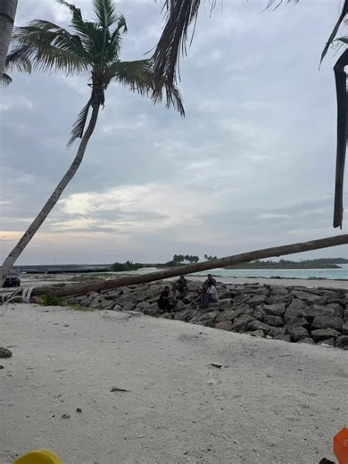 Togetherness: The Strength of Unity in Community