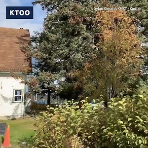 1.2K views · 11 reactions | Several communities were placed under a tsunami warning after a magnitude 7.5 earthquake struck near Sand Point, Alaska. Updates here: https://bit.ly/3khmTgj Dylan Simard / KMXT Radio Kodiak Alaska | KTOO | Facebook