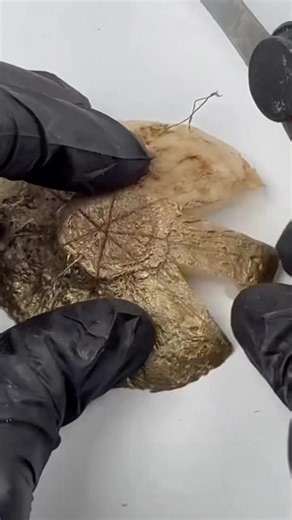 Fruit Cutting Techniques: A Guide for Enthusiasts