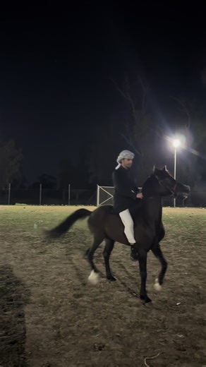 #fyp #ترند #نادي_الموصل_للفروسيه #فرسان_نادي_الموصل_للفروسيه🦅🔥 #نادي_موصل_للفروسيه