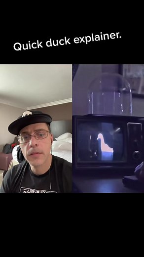 Peppers Ghost Duck Illusion Explained