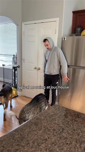 Merlin on Instagram: "I have been pressing the Al Capone button 10+times a day. He is my new bff🐽🐦"