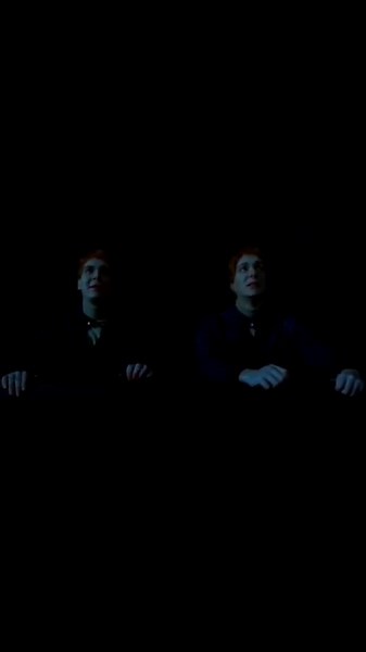 George Weasley's Last Words to Fred | Heartbreaking Harry Potter TikTok