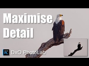 DxO PhotoLab: AI Tools for Smarter Edits & Better Detail