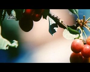 Уроки в конце весны / СССР.1990г.