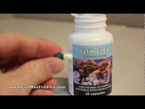 Fish Flex Cephalexin 250 mg Fish Antibiotic