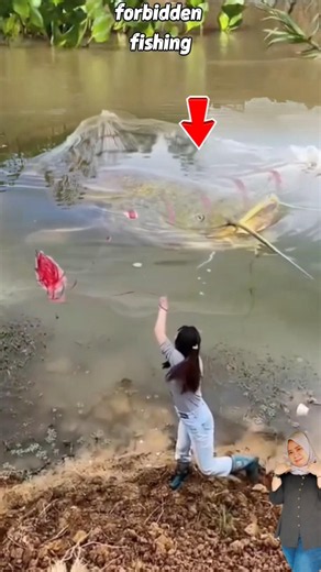 Detik-Detik Cewek Cantik Menangkap Lele Raksasa Dengan Jala Di Sungai Tenang!