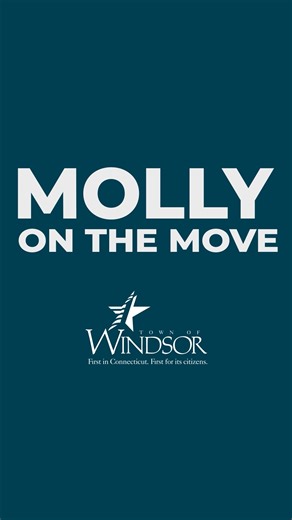 Check out episode 17 of Molly on the Move as we talk about Windsor Senior Services. Congratulations on 55 years! | Town of Windsor CT