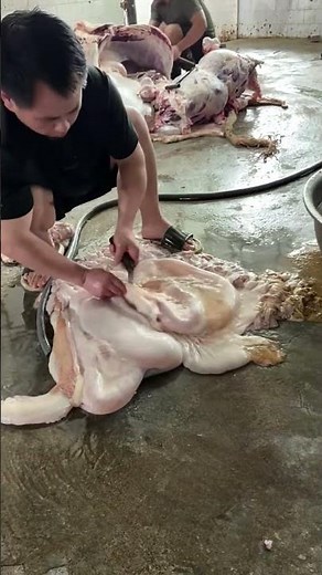 Beef intestine cutting and processing method