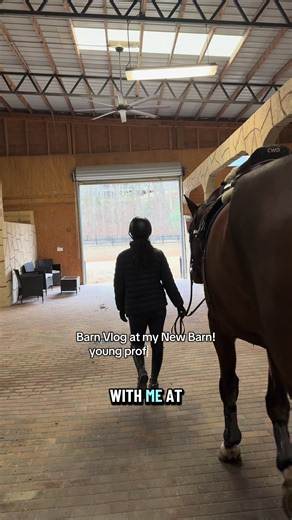 First Barn Vlog at the New Place!