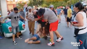 Fight breaks out at Disneyland