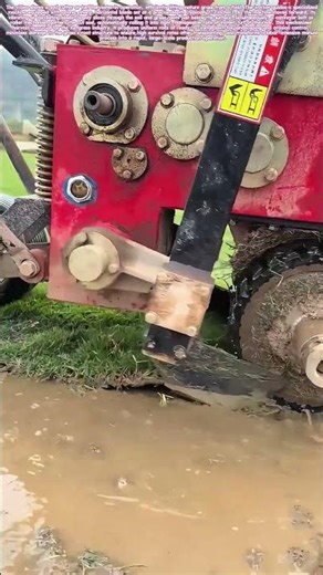 Rolling Up the Green: How a Machine Harvests Ready-Made Lawn