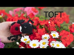 How to Crochet Ava the Ladybird