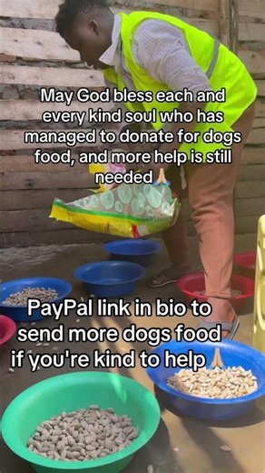 Vist our PayPal link in bio to maa donation concerning buying weekly dogs food please🙏🏼